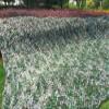 Mitef Heavy-Duty 150D Camo Netting Camouflage Net for Camping Hunting Blinds Shooting Military Decoration, Digital Camouflage, 13.3x16.6ft/4x5m view 3