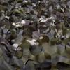 Sitong Bulk Roll Camo Netting for Hunting Military Decoration Sunshade view 2