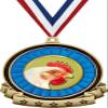 Chicken Medals - 2.5" Gold Chicken Medal Award Includes Red White and Blue Neck Ribbon, Great Chicken Awards 100 Pack Prime view 1