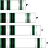 White Water Archery Laminated Green Traditional 9 Crest Arrow Wraps 15 pk Choose Length Width (7, 1.25) view 2