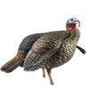 Avian X HDR Jake Turkey Decoy view 1