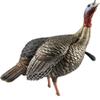 Avian X HDR Jake Turkey Decoy view 2
