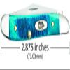 Case WR XX Pocket Knife Peanut Caribbean Blue Jig Bone Item #25596 - (6220 SS) - Length Closed: 2 7/8 Inches view 2