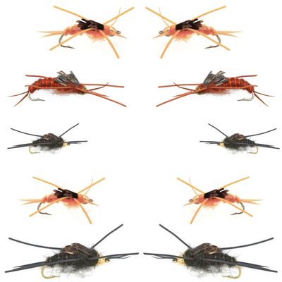 The Fly Fishing Place Basics Collection - Kaufmann's Stonefly Nymph Assortment - 10 Bead Head Rubber Legs Wet Flies - 5 Patterns - Hook Sizes 4, 6, 8, 10, and 12