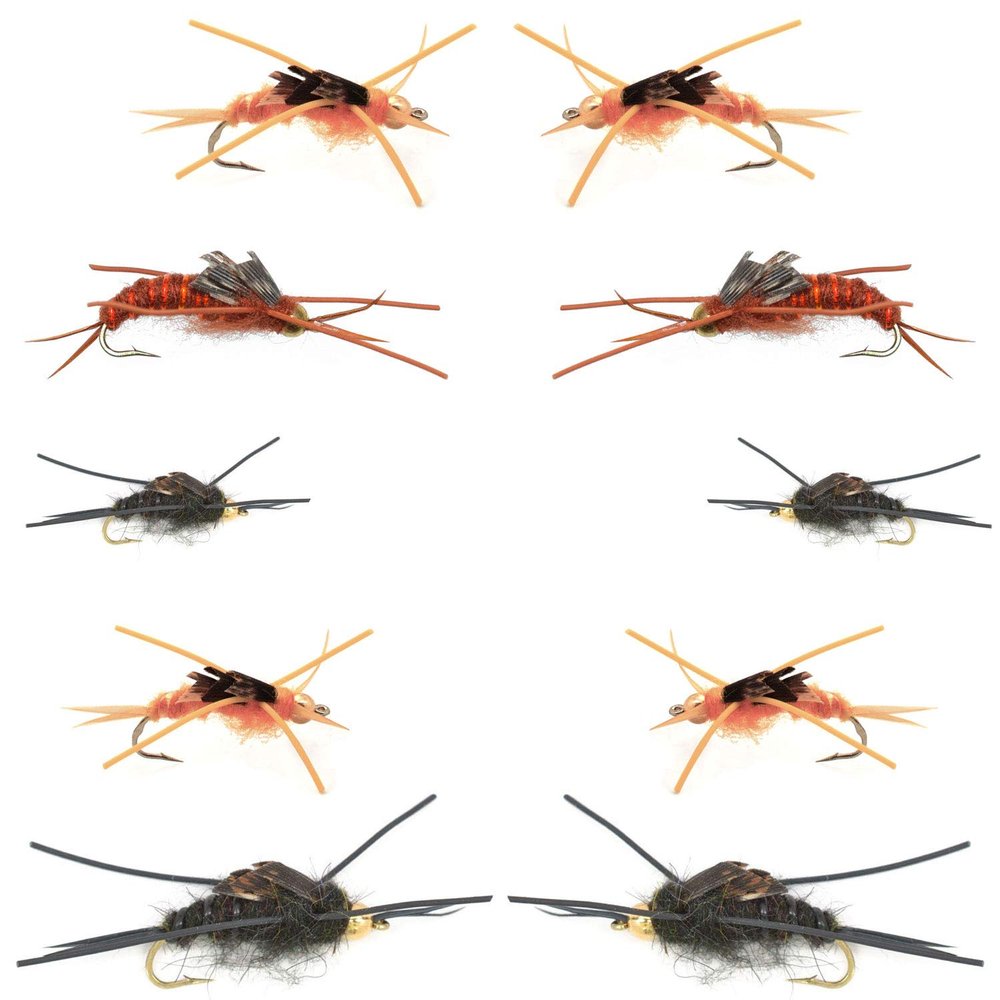 The Fly Fishing Place Basics Collection - Kaufmann's Stonefly Nymph Assortment - 10 Bead Head Rubber Legs Wet Flies - 5 Patterns - Hook Sizes 4, 6, 8, 10, and 12