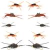 The Fly Fishing Place Basics Collection - Kaufmann's Stonefly Nymph Assortment - 10 Bead Head Rubber Legs Wet Flies - 5 Patterns - Hook Sizes 4, 6, 8, 10, and 12 view 1