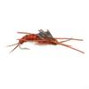 The Fly Fishing Place Basics Collection - Kaufmann's Stonefly Nymph Assortment - 10 Bead Head Rubber Legs Wet Flies - 5 Patterns - Hook Sizes 4, 6, 8, 10, and 12 view 3