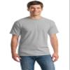 Gildan 100% Cotton T-Shirt, Ice Gray, Medium view 1