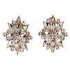 Faship Gorgeous Clear Rhinestone Crystal Floral Clip On Style Earrings - Clear/Rose-Gold-Plated view 1