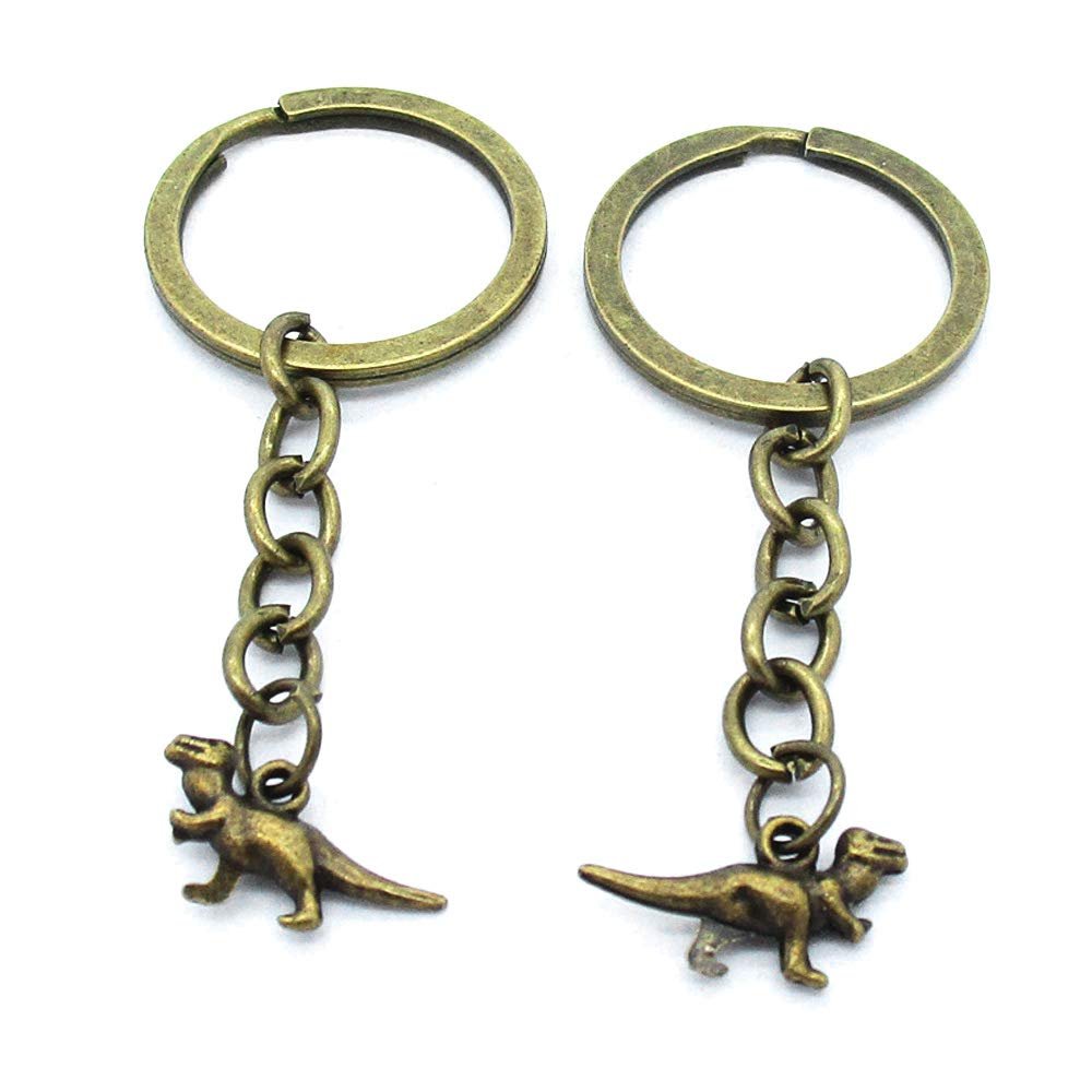 5 Items Keychain Keyring Key Tags Chains Rings Jewelry Bag Charms AA442 Dinosaur