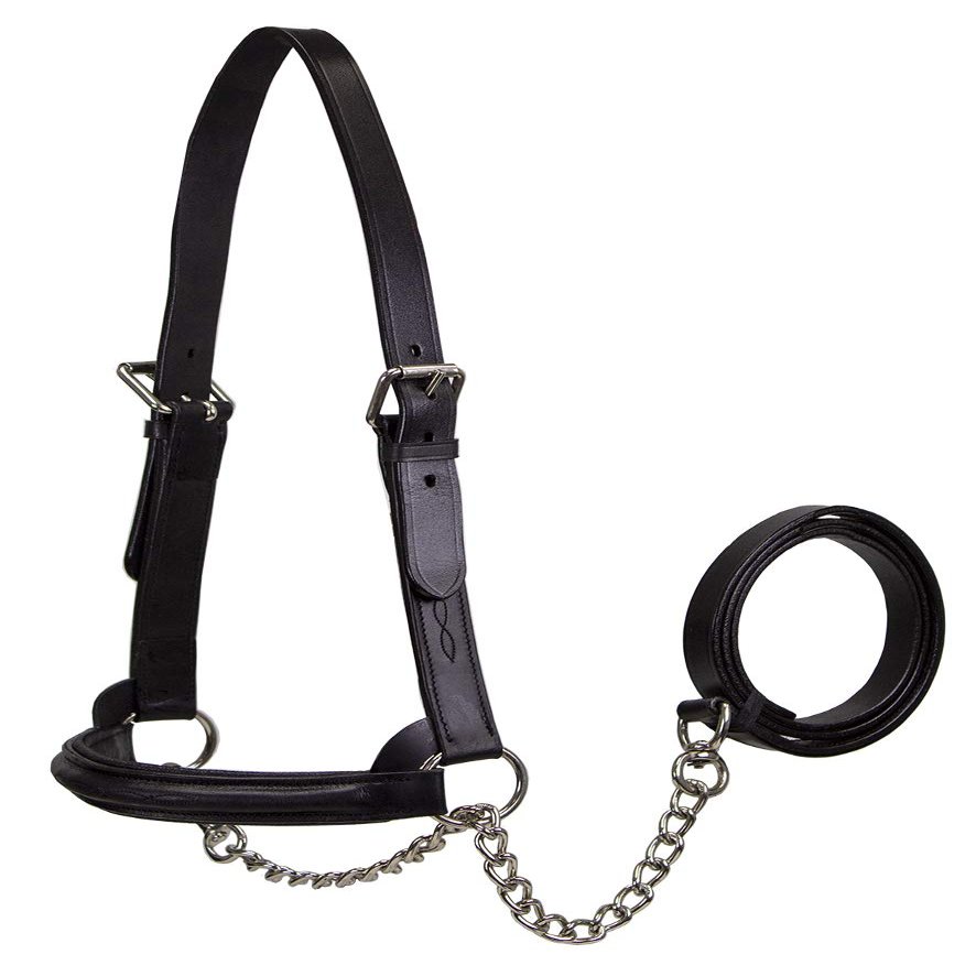 Derby Originals Premium Raised Padded Fancy Stitch Leather Cattle Show Halter with Matching Chain Lead