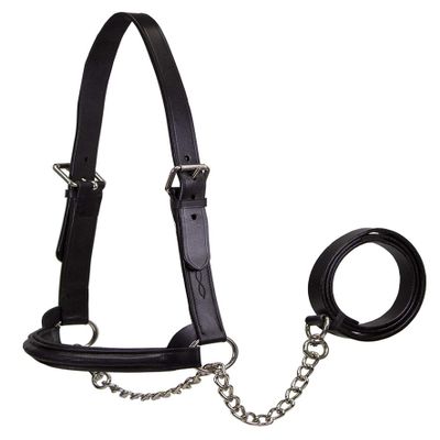 Derby Originals Premium Raised Padded Fancy Stitch Leather Cattle Show Halter with Matching Chain Lead