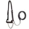 Derby Originals Premium Raised Padded Fancy Stitch Leather Cattle Show Halter with Matching Chain Lead view 1
