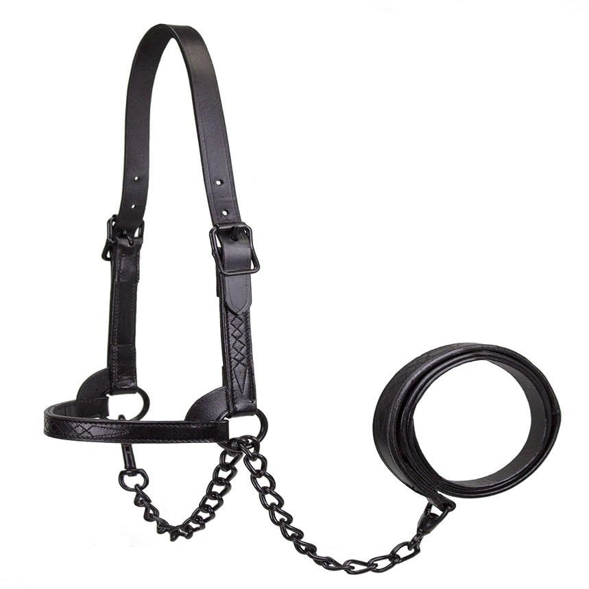 Derby Originals Black Midnight All Black Premium Flat Fancy Stitch Leather Cattle Show Halter with Matching Chain Lead