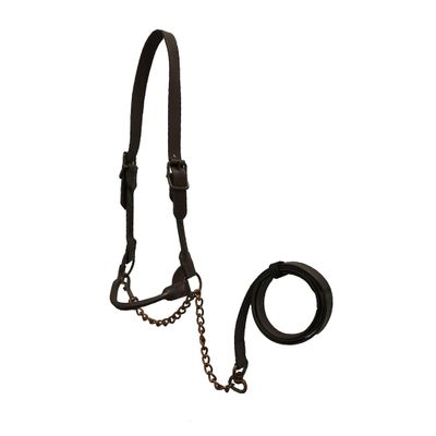Derby Originals Bronze Beauty Premium Round Rolled Leather Cattle Show Halter with Matching Chain Lead