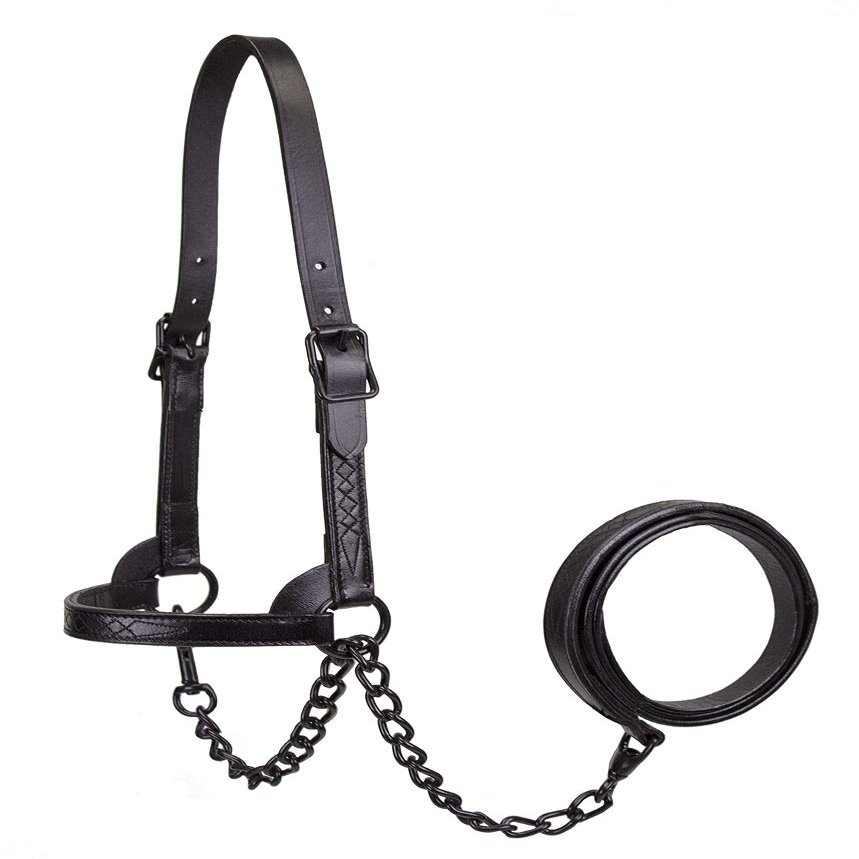 Derby Originals Black Midnight All Black Premium Flat Fancy Stitch Leather Cattle Show Halter with Matching Chain Lead