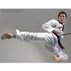 Sanga Taekwondo Global Dan Uniform Black V-Neck Type Martial Arts MMA TKD Karate Judo Hapkido (190(Height: 185~195cm)(72.8~76.7 inch)) view 3
