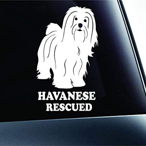 Havanese Rescued Dog Symbol Decal Paw Print Dog Puppy Pet Family Breed Love Car Truck Sticker Window (White), Decal Sticker Vinyl Car Home Truck Window Laptop