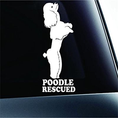 #2 Poodle Rescued Symbol Decal Paw Print Dog Puppy Pet Family Breed Love Car Truck Sticker Window (White), Decal Sticker Vinyl Car Home Truck Window Laptop