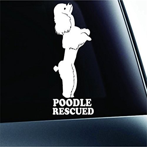 #2 Poodle Rescued Symbol Decal Paw Print Dog Puppy Pet Family Breed Love Car Truck Sticker Window (White), Decal Sticker Vinyl Car Home Truck Window Laptop