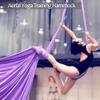 Deluxe Aerial Silks Set for Yoga, Acrobatics, Dance & Circus Arts (10m x 2.8m) - Grass Green view 2