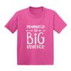 Promoted to Big Brother - New Bro Infant/Toddler Cotton Jersey T-Shirt (Pink, 2T) view 1