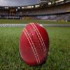 KSZ TRADERS Cricket Rubber Soft Balls for Practice (Set of 3) view 3