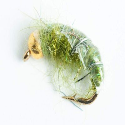BH Czech Mate Nymph Fly, 6-Pack (Olive, #14)