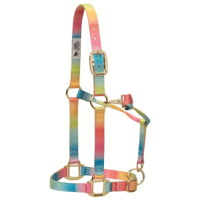 Weaver Leather 35-6795-R1 Polyester Rainbow Adjustable Chin and Throat Snap Halter, 1" Average Horse
