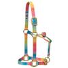 Weaver Leather Polyester Rainbow Adjustable Chin and Throat Snap Halter, 1" Small Horse view 1