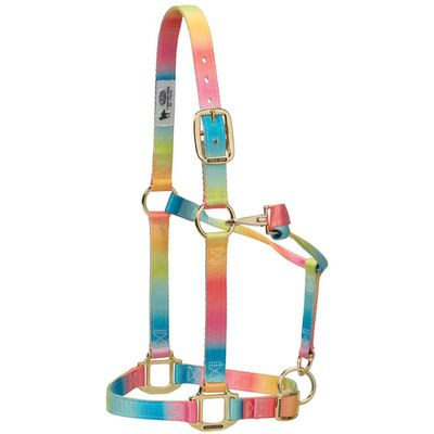 Weaver Leather Polyester Rainbow Adjustable Chin and Throat Snap Halter, 1" Large Horse
