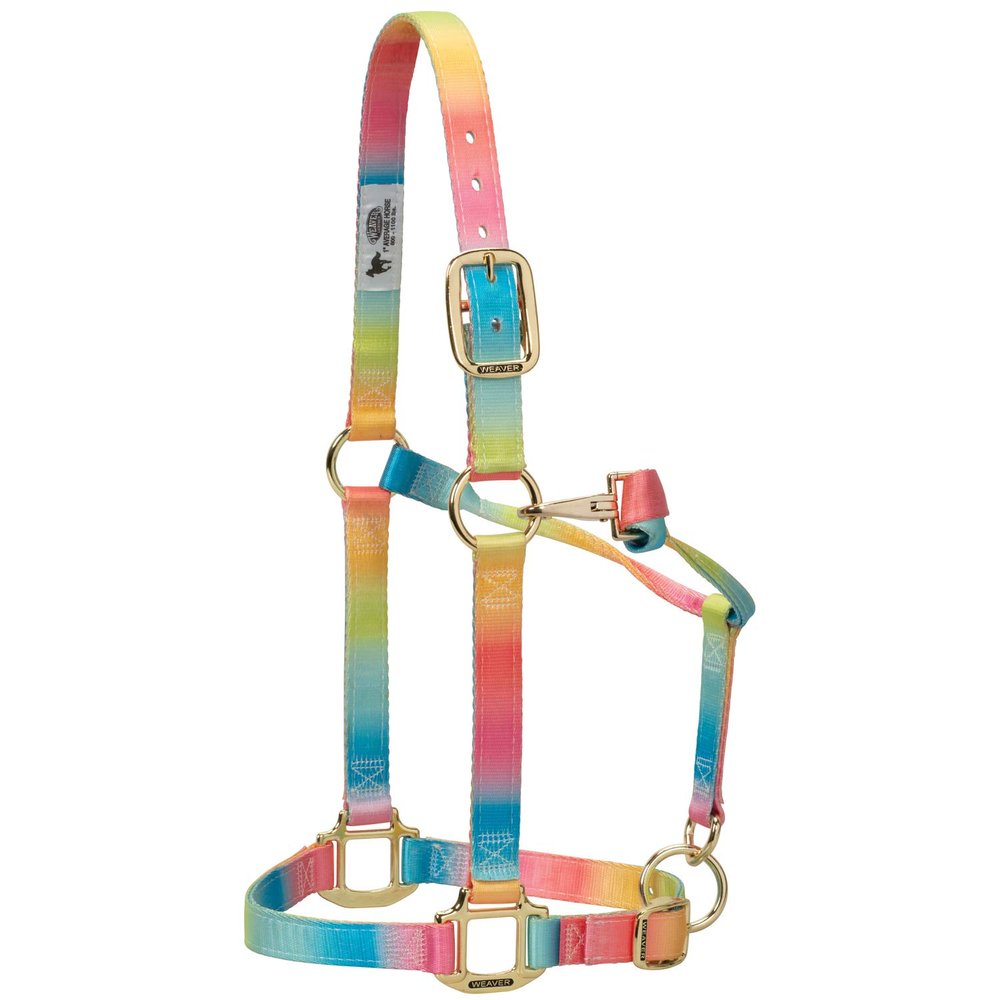 Weaver Leather Polyester Rainbow Adjustable Chin and Throat Snap Halter, 1" Large Horse