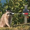 Nite Guard Solar NG-001 Predator Control Light, Single Pack (2-(Pack)) view 3