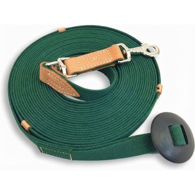 35' Flat Cotton Web Lunge Line with Bolt Snap & Rubber Stop - by Southwestern Equine (35', Emerald)