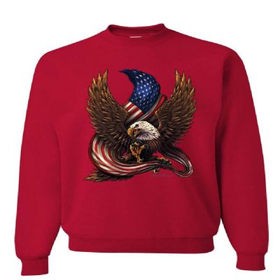 Tee Hunt USA Stars and Stripes Sweatshirt Patriot American Pride Bald Eagle Sweater Red Large