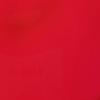 US Marine Products LLC Fluorescent Lobster Buoy Paint Rocket Red Gallon view 2