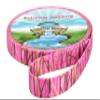 Country Brook Design - Pink Waterfowl Camo Polyester Webbing (3/4 Inch, 20 Yards) view 4