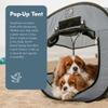 K9 Sport Sack K9 Kennel Portable Pop-Up Tent, Grey - Small (20" L x 20" W x 20" H) - for Indoor & Outdoor Use + Travel - Includes Carry Bag & Four Stakes view 2