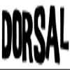 DORSAL Transition Blue Fiberglass SUP Surf Longboard Surfboard Fin - 8 Inch view 3