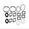 Asaki Complete Gasket Kit Compatible with Ski-Doo Snowmobile Skandic 500 Summit 500F 09-711196 711196 view 3