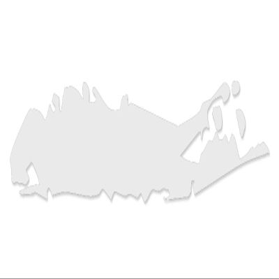 Applicable Pun Long Island Shape - Vinyl Decal for Outdoor Use on Cars, ATV, Boats, Windows and More - White 4 inch