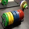 Vulcan Horizontal Bumper Plate Rack with Wheels  Heavy Duty Olympic Weight Plate Storage Stand for Bumper Plates, Competition Plates & Change Plates  Home Gym, Commercial Use view 2