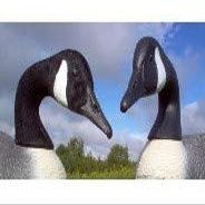 Fowl Flocker Canada Goose Decoy Head Flocking Kit - 100 Heads