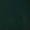 Commercial Grade Topside Paint Green Gallon view 2