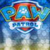 Paw Patrol Toddler Boys Blue Rash Guard - 2T view 2