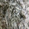 BESTBAIT Large Preserved Salted Emerald Shiners 2 lb. Bag view 1