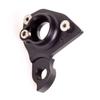 Pilo D700 derailleur Hanger for Ellsworth Enlightenment view 2