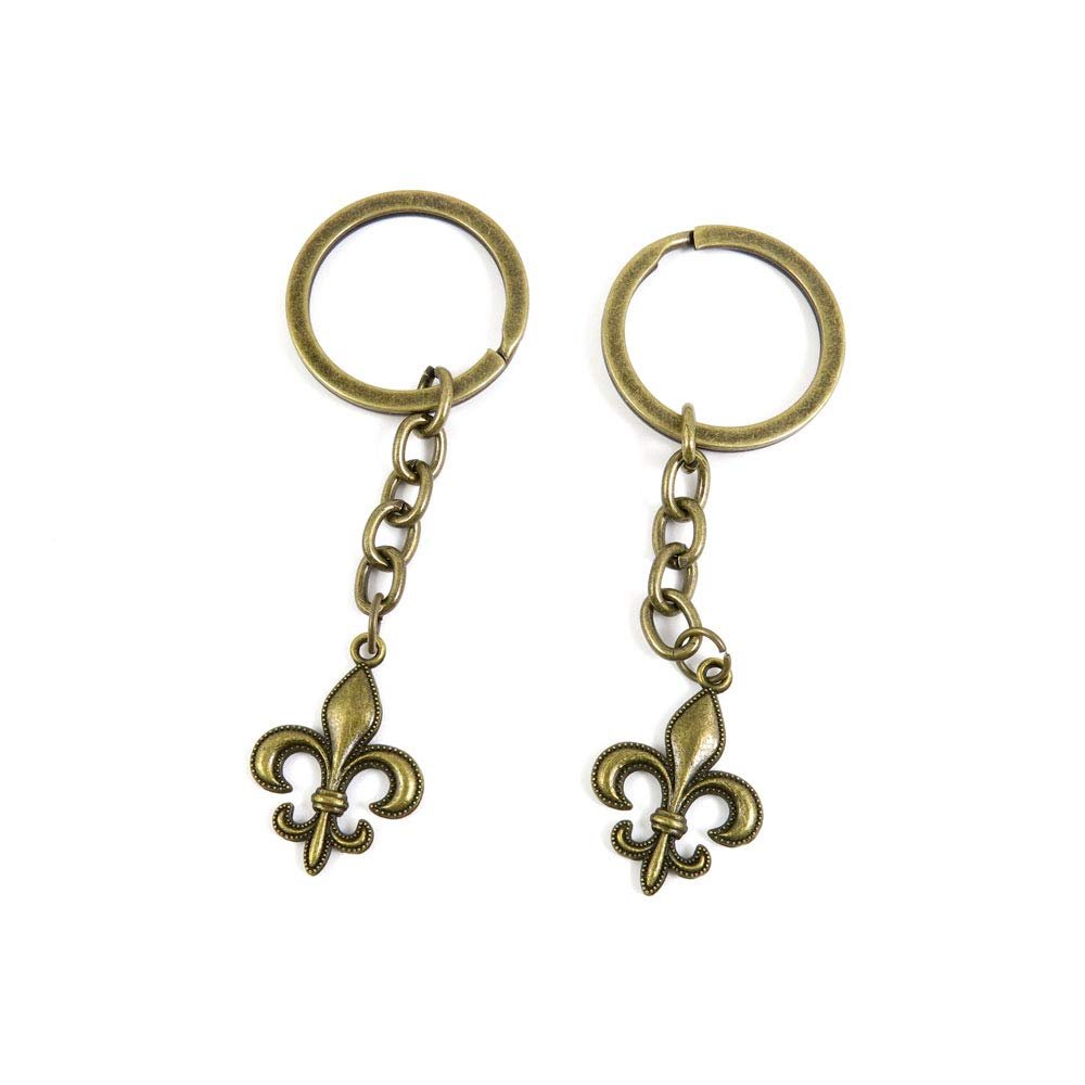1 Items Keychain Keyring Key Tags Chains Rings Jewelry Bag Charms R2WI4 Fleur De Lis Iris Lily