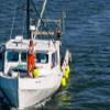 Polyform LD-Series Low Drag Buoy LD-2 Standard Blue Ropehold - Blue view 4