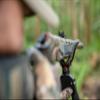 BOG Havoc Camo Tripod Shooting Rest with Lightweight Aluminum Construction, High Density Foam Grips, Twist-Style Lock Legs, and Universal Shooting Rest Head for Hunting, Shooting, and Outdoors view 4